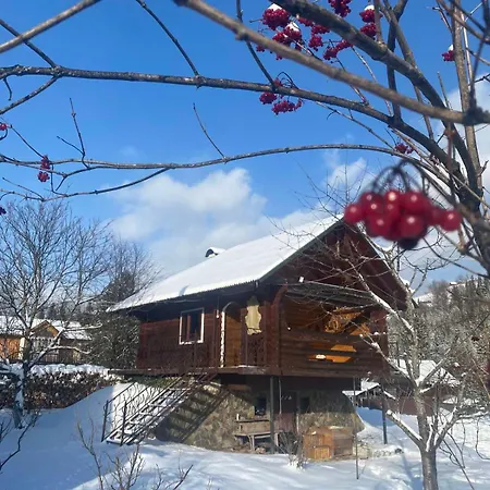 затишна оселя